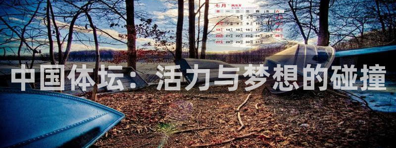 MK体育官网下载软件:中国体坛:活力与梦想的碰撞