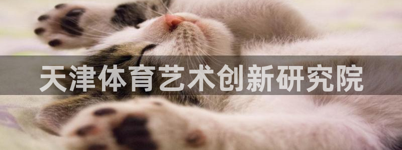 MK体育官网下载平台注册要钱吗:天津体育艺术创新研究院