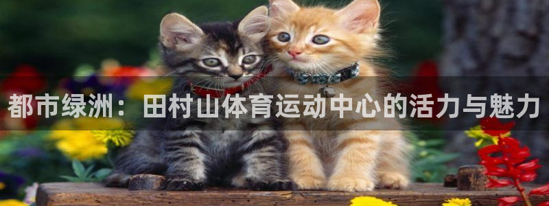 MK体育官网下载平台:都市绿洲:田村山体育运动中心的活力与魅